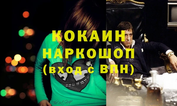 индика Лиски