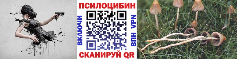 Купить закладки  Невельск  Псилоцибиновые грибы Magic Shrooms 
